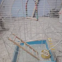 قفس|لوازم جانبی حیوانات|باغستان, |دیوار