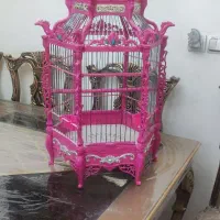 قفس سلطنتی پرنده با جا آبی و غذایی