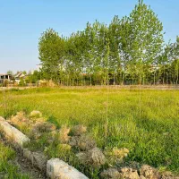 دوپلاک زمین ۱۳۶و۱۴۶ سندار داخل مجموعه خصوصی|فروش زمین و ملک کلنگی|آمل, |دیوار