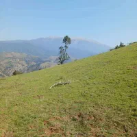 فروش زمین 3100 متری روستای مخشهر