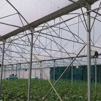 فروش گلخانه هیدروپونیک*فروش بعلت تغییر مکان*|فروش دفتر صنعتی، کشاورزی، تجاری|سلماس, |دیوار