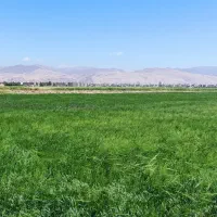 9000-متر-زمین-با-کاربری-گلخانه-خانه-باغ-باغ