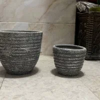 گلدان|گل و گیاه طبیعی|کرج, خرمدشت|دیوار