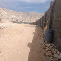 زمین شیرینو|اجارهٔ دفتر صنعتی، کشاورزی، تجاری|بندر کنگان, |دیوار