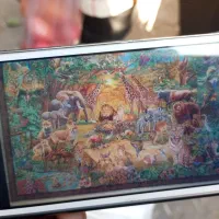 فروش فرش دستباف نفیس|فرش|مراغه, |دیوار