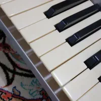 کیبورد pa50sd|پیانو، کیبورد، آکاردئون|اصفهان, سودان|دیوار