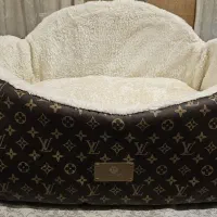 جای خواب گربه و سگ