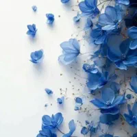 سند اداری ۶۲متر بر خیابان دولت