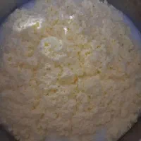 کره گاوی