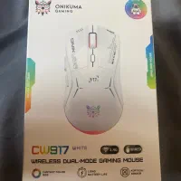 موس گیمینگ اونیکوما|قطعات و لوازم جانبی رایانه|لاهیجان, شقایق|دیوار