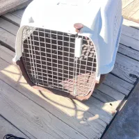 باکس حمل سگ های کوچک ، استاندارد پرواز|لوازم جانبی حیوانات|کرج, فاز ۲ مهرشهر|دیوار