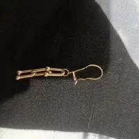 یک لنگه گوشواره گمشده