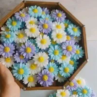 حراج انواع شمع