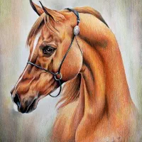 سفارش نقاشی