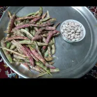 لوبیا چیتی با پوست