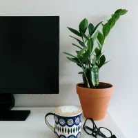 تولید محتوا - ادمین اینستاگرام - دیجیتال مارکتینگ