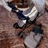 کالسکه دلیجان