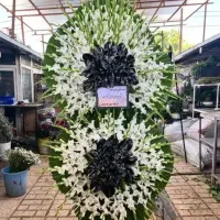 پخش تاج گل های تبریک تسلیت افتتاحیه