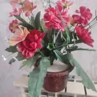 گل مصنوعی|گل مصنوعی|ایلخچی, |دیوار