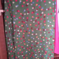 شومیز در رنگ های شاد فقط ۲۰۰|لباس|کرمان, |دیوار