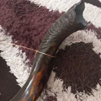 بوق طرح شاخ