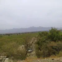 اجاره-زمین-کشاورزی