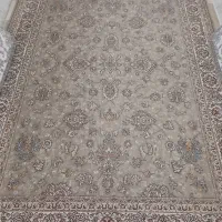 فرش ۹ متری|فرش|قرچک, مهدیه|دیوار