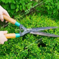 خدمات باغبانی وهرس درختان