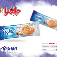 استخدام ویزیتور