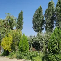 اقامتگاه ویلایی