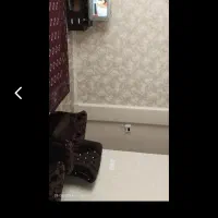 اجاره نیازمند همخانه ترجیحا خانوم باشن|اجارهٔ کوتاه‌مدت آپارتمان و سوئیت|گنبد کاووس, |دیوار