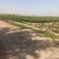 سرویس|خدمات حمل و نقل|اندیمشک, |دیوار