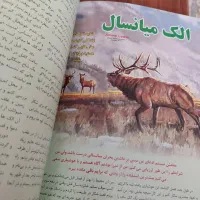 مجله شکار و ماهیگیری آرشیو کامل ۸ جلد صحافی|مجلات|قرچک, پویینک|دیوار