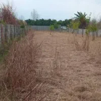 زمین باغی (ملک شخصی)|فروش زمین و ملک کلنگی|آمل, |دیوار