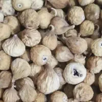 فروش انجیر تازه