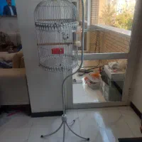 قفس