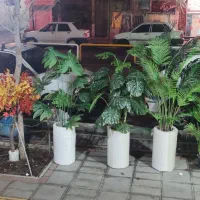 پخش درختان مصنوعی ابریشم