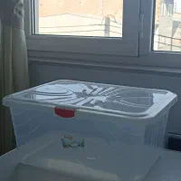 استند گل|کیف، کفش، کمربند|بابلسر, |دیوار