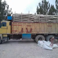 خریدار چوب شما|خدمات باغبانی و درختکاری|کرمان, |دیوار