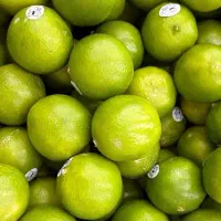 میوه مرکبات کوهستانی|خوردنی و آشامیدنی|اصفهان, دانشگاه اصفهان|دیوار