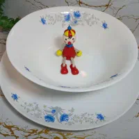 ظروف متنوع اشپزخانه فلاسک لیوان ارکوپال برقی|ظروف سرو و پذیرایی|مشهد, فدک|دیوار