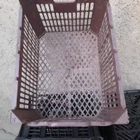سبد