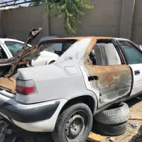 زانتیا تصادفی