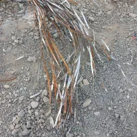 مصالح ساختمانی|مصالح و تجهیزات ساختمان|هشتگرد, تهران دشت|دیوار