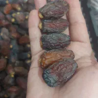 خرما بریم وسعمران درجه یک