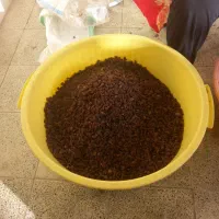 کشمش اصل آفتابی اورگانیک خون ساز|خوردنی و آشامیدنی|هشتگرد, شهرک گلها|دیوار