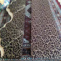 پشتی و کناره|پشتی|زاهدان, |دیوار