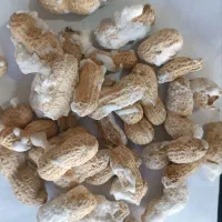 فروش عمده و خرده خشکبار