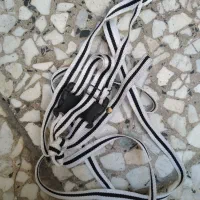 قفس خرگوش خوکچه همستر|موش و خرگوش|تهران, شمشیری|دیوار