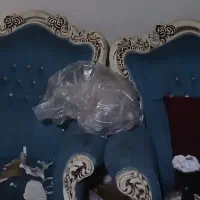 مبل سلطنتی|مبلمان خانگی و میز عسلی|تهران, سلسبیل جنوبی|دیوار